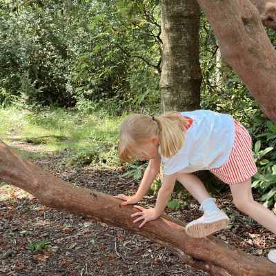 Tree climbing