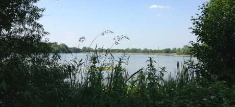 Lake at Aldenham Country Park in Elstree