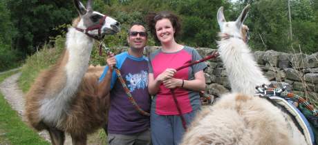 Couple with llamas at Nidderdale Llamas in Harrogate