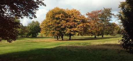 Landscape at War Memorial Park in Coventry