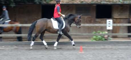 Person horse riding at Budleigh Salterton Riding School