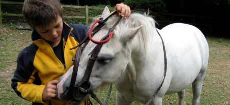 Boy with horse at Budleigh Salterton Riding School