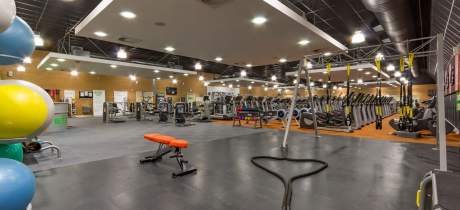 Gym at Adventureland and Youth Gym in Redhill
