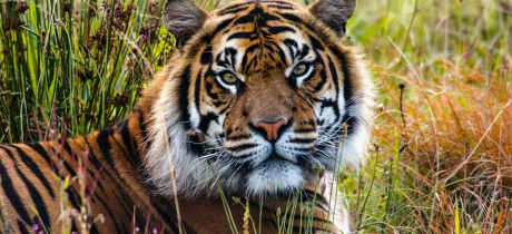 Manor Wildlife Park - Featured Image - 2