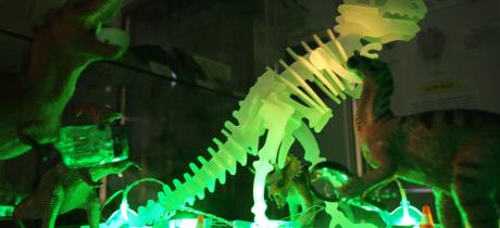 Dinosaurs at Sedgwick Museum of Earth Sciences in Cambridge