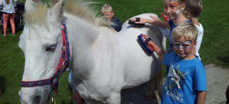 Kids grooming pony at Old MacDonalds Farm in Padstow