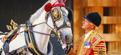 Royal Mews at Buckingham Palace in London