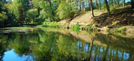 Lake at Pencarrow House and Gardens in Bodmin