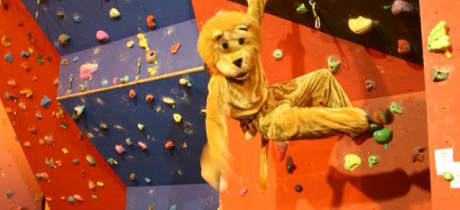 Lion mascot climbing at Keswick Climbing Wall
