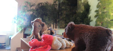 Stuffed animals at Broughty Castle in Dundee