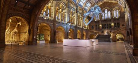 Exhibition hall at The Natural History Museum in Kensington