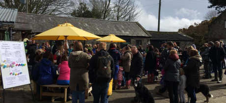 Visitors at Foel Farm Park in Brynsiencyn