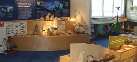 Exhibit at Seadrift-Dunnet Visitor Centre in Wick