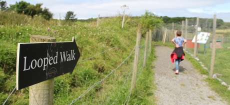 Looped Walk at Doolin Cave and Farmland Nature Trail in Lisdoonvarna