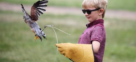 Boy in Birds of Prey at Avoncroft Museum of Historic Buildings in Bromsgrove