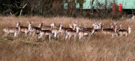 Fell End Nature Reserve - Featured Image - 2