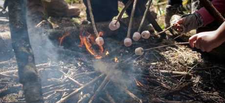 Kids roasting marshmallows in fire at Live For Today Adventures Hazlewood