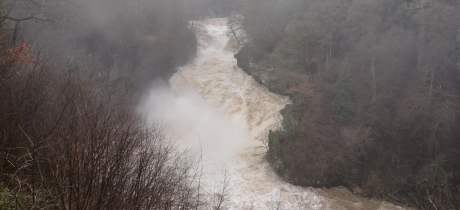River at Falls of Clyde Wildlife Reserve in New Lanark