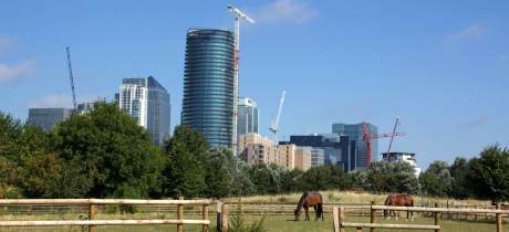Horses at Mudchute Park and Farm in Isle of Dogs