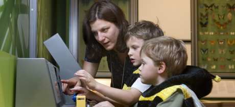 Visitors reading screens at The Royal Albert Memorial Museum & Art Gallery in Exeter
