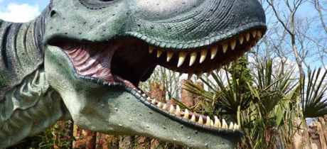 T-Rex at Dino Park in Dumfries