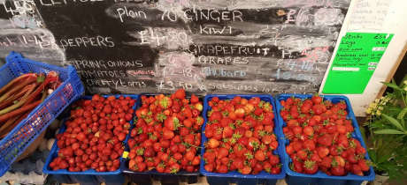 Strawberries at Hillfield Nursery & Farm Shop in Norwich