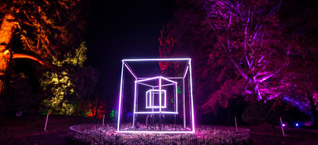 Enchanted Gardens Light Trail - Featured Image - 3