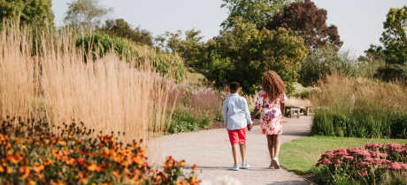 RHS Hyde Hall - Featured Image - 2