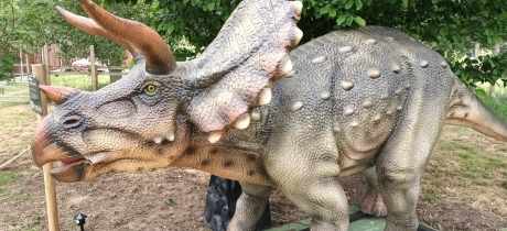 Ark Wildlife & Dinosaur Park - Featured Image - 3