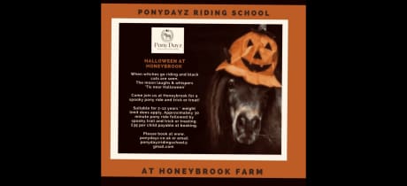 Pony dayz - Featured Image - 2