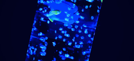Little Glow Telford - Featured Image - 3