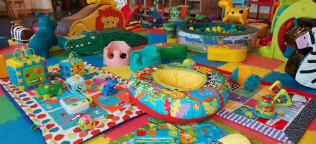 Mini Meadows Farm - Featured Image - 3