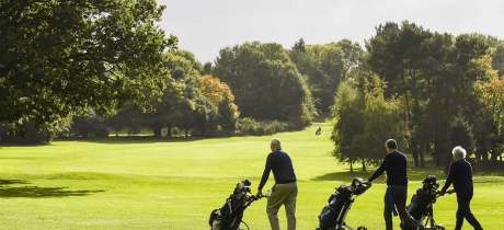 Royal Norwich - Featured Image - 2