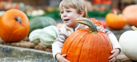 Laganvale Farm Pumpkin Days - Featured Image - 2