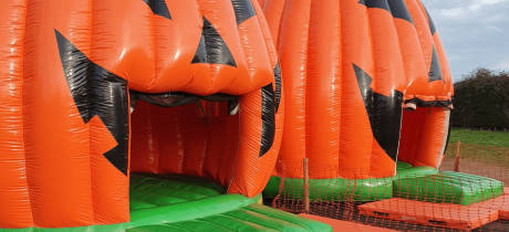 Pumpkin Picking at Maxeys Farm Shop - Featured Image - 2