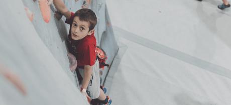 Red Spider Climbing - Featured Image - 2
