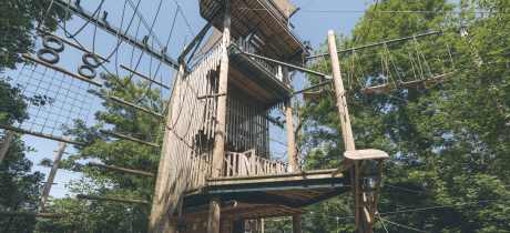 Wild Wood Adventure - Featured Image - 2