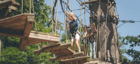 Wild Wood Adventure - Featured Image - 3