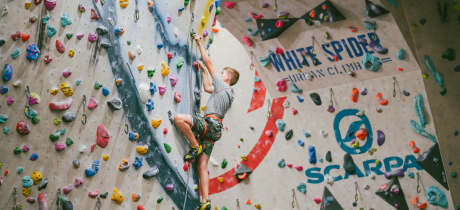 White Spider Climbing - Featured Image - 3