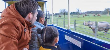 Whipsnade Zoo - Featured Image - 4