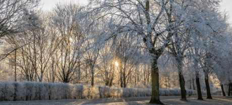 Nene Park Winter Festival - Featured Image - 2