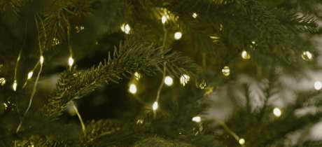 Nene Park Winter Festival - Featured Image - 3