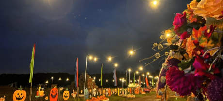Land of the Dead - Featured Image - 3