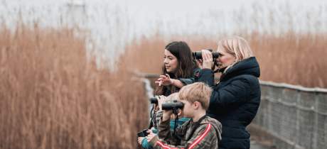RSPB Newport Wetlands - Featured Image - 2