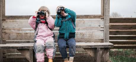 RSPB Newport Wetlands - Featured Image - 3