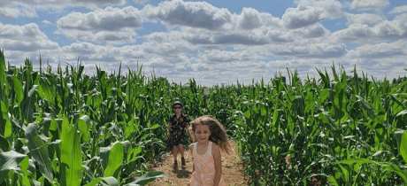 Cammas Hall Farm - Featured Image - 4