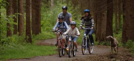 Hamsterley Forest - Featured Image - 3