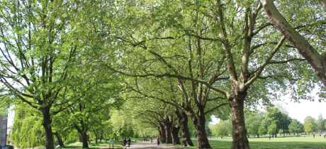 Victoria Park Tower Hamlets - Featured Image - 3