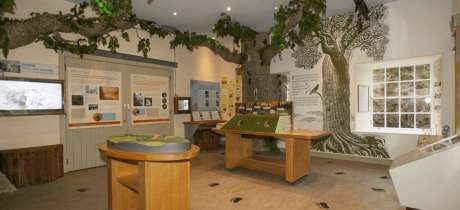 Falls of Clyde Wildlife Reserve - Featured Image - 3