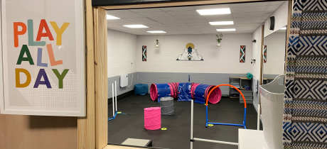 Peak Performance Dog Gym, Play and Training - Featured Image - 2